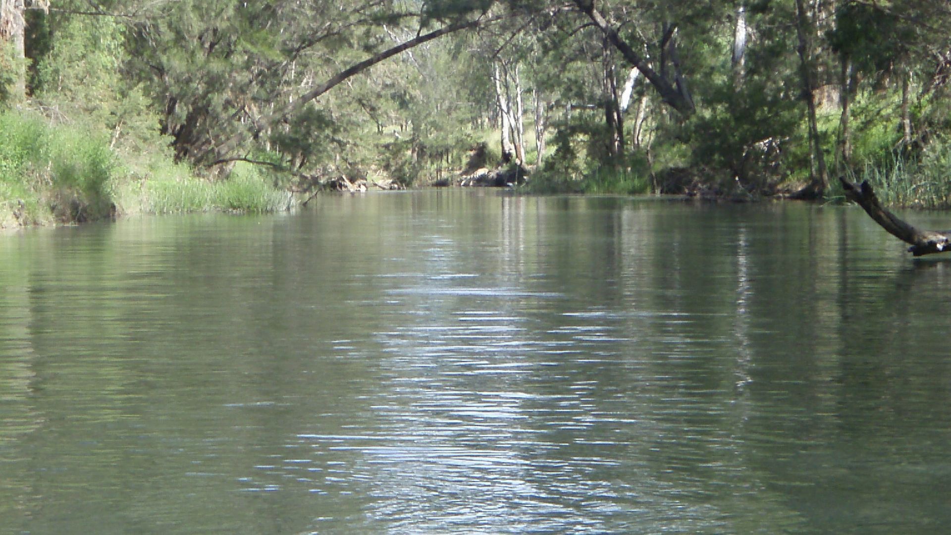 Coolmunda Springs - We had rain!