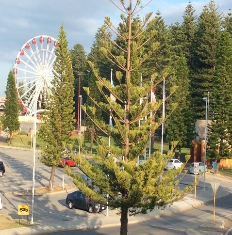 Pine View Apartment - Fremantle CBD .