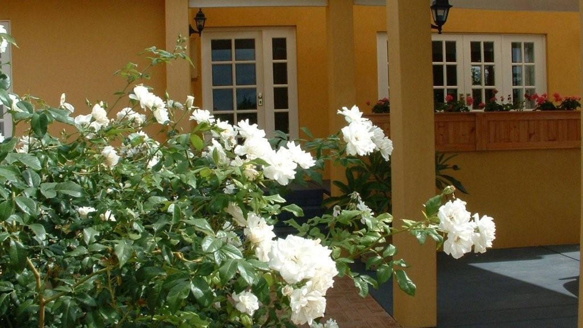 La Cote D'or - Mediterranean Cottage