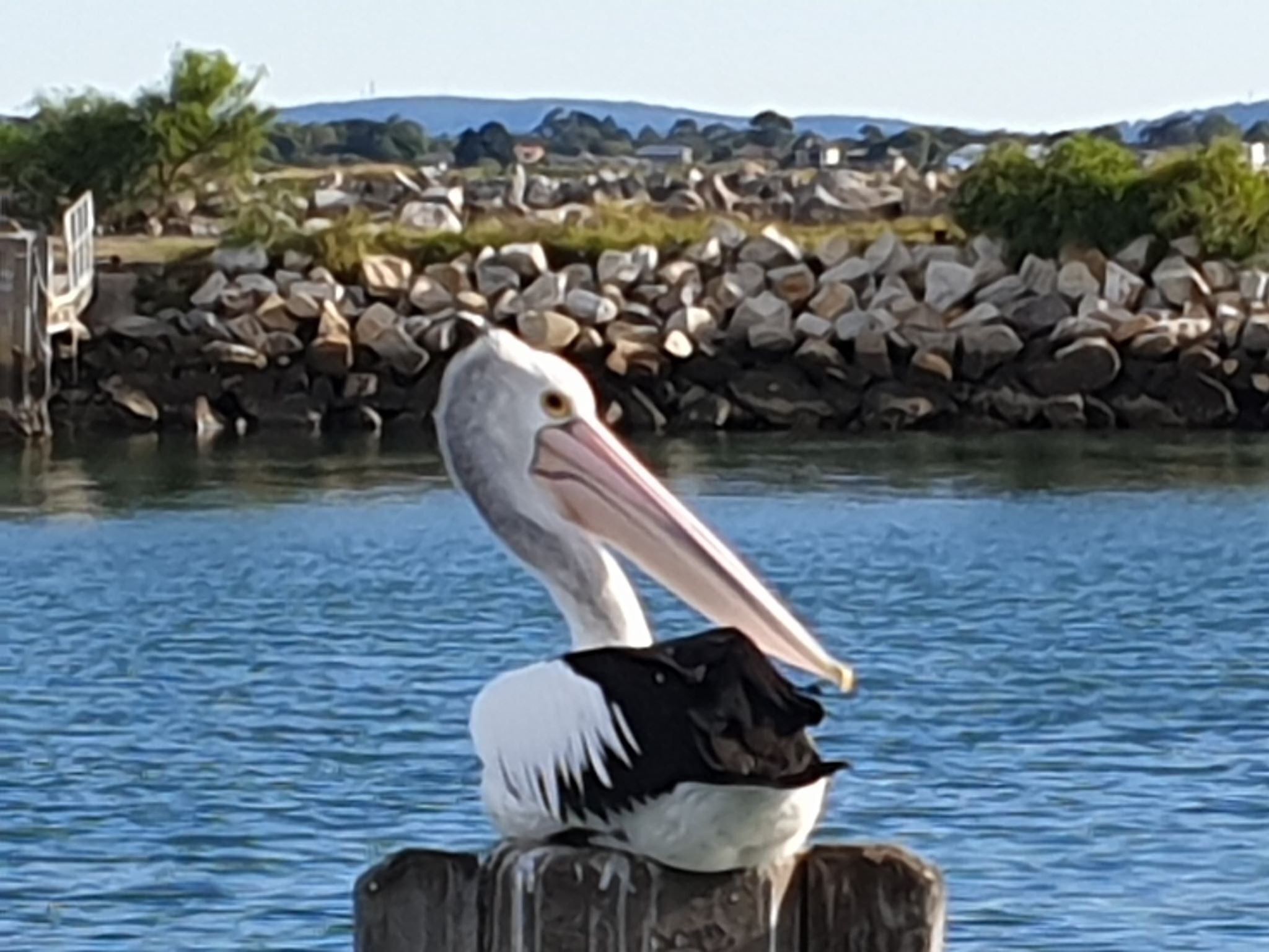 Joey's at Iluka - Bring the boat