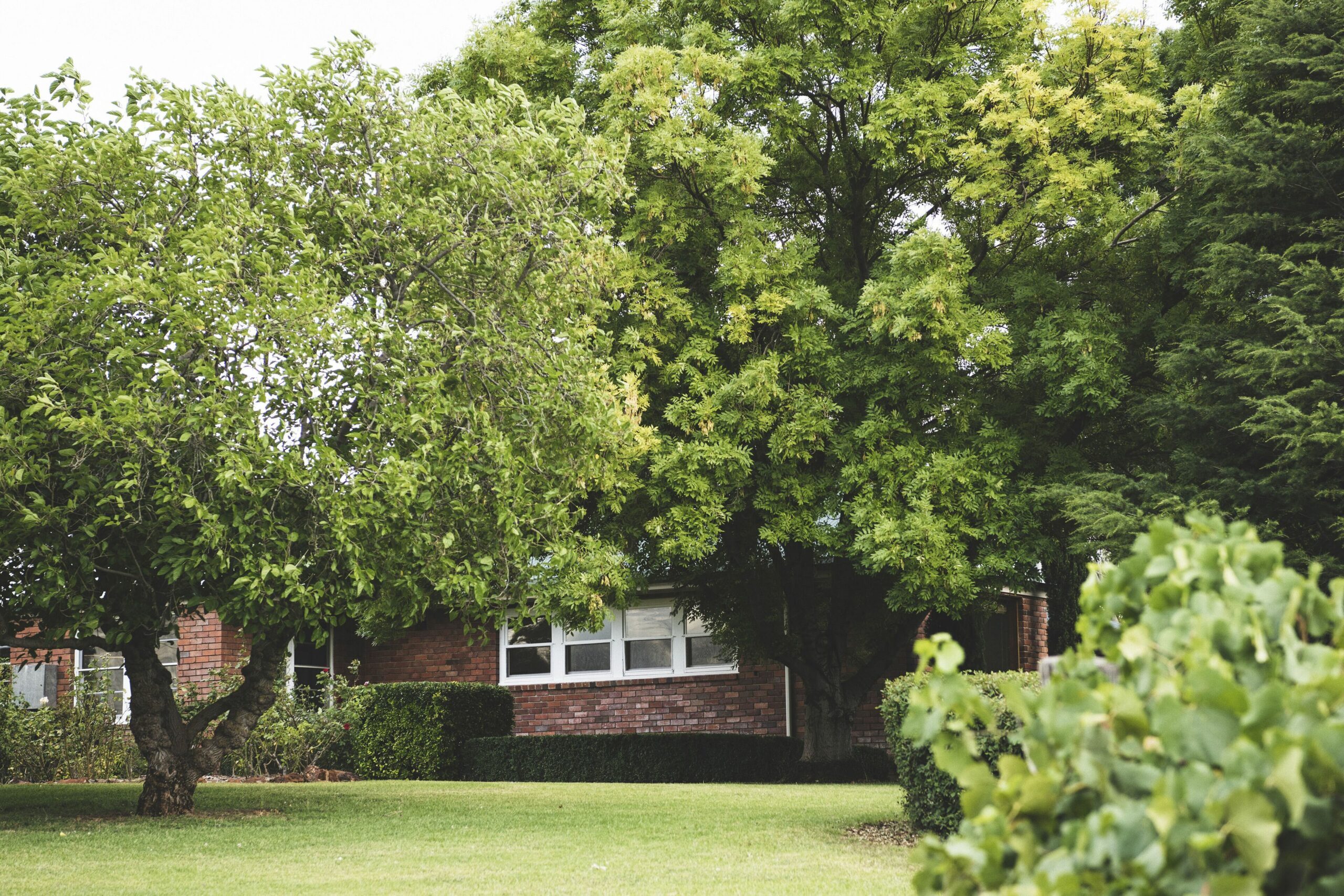 Eurunderee House - Nestled in Mudgees Famous Vineyards