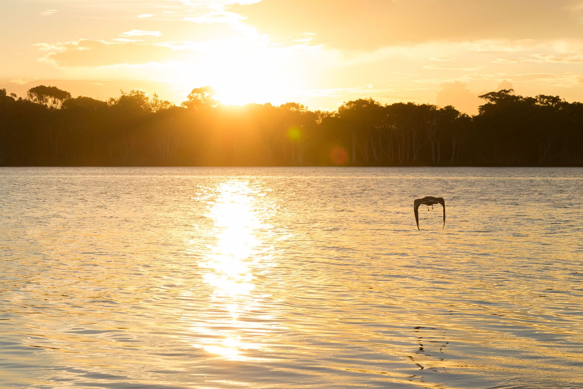 Sunset at Gibbon - Lennox Head