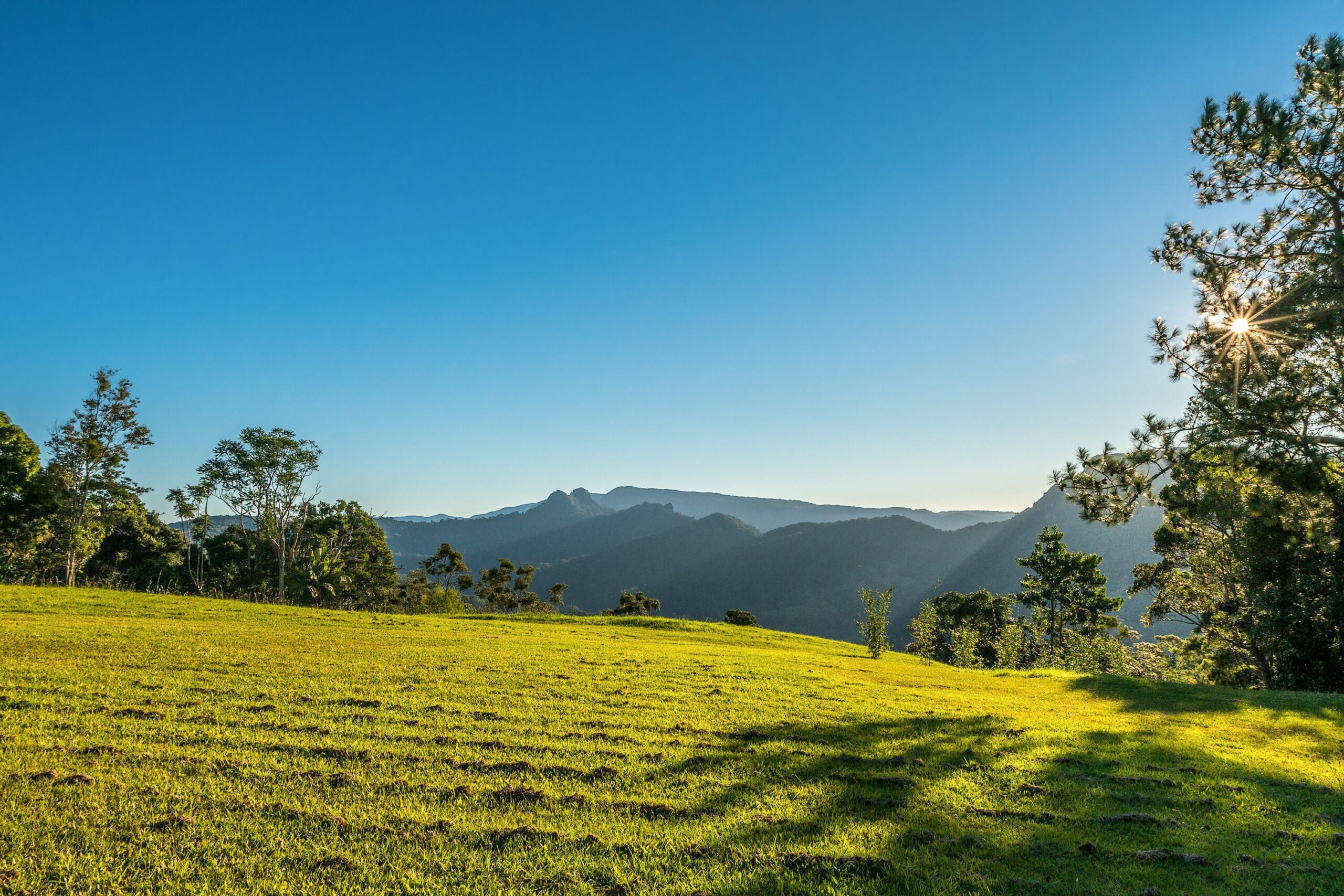 Captivating Currumbin Valley