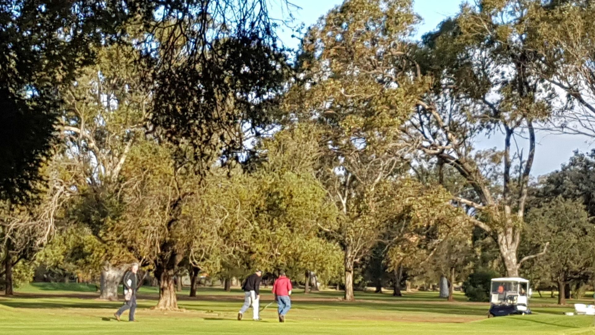 Gunnedah - Quiet and Comfortable