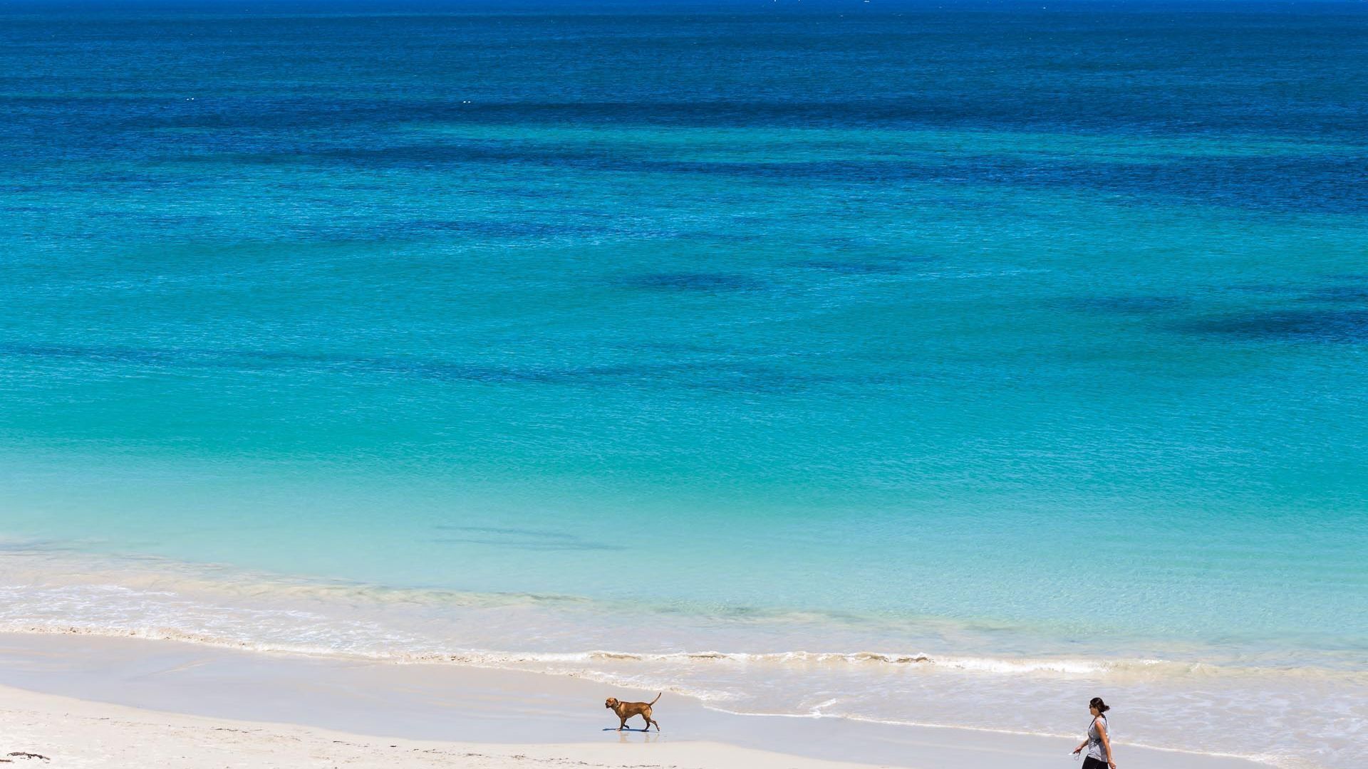 Beachside Ocean View Apartment in Cottesloe