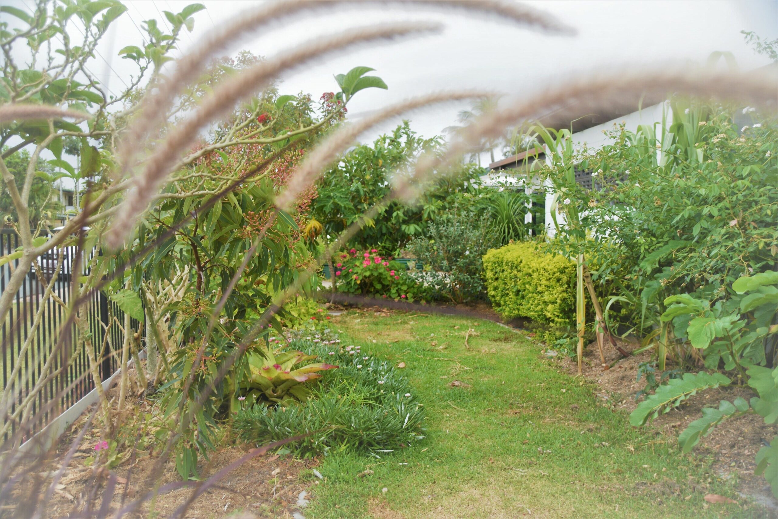 A Peaceful Hacienda With Lush Gardens Situated in a Quiet Steet - Pet Friendly