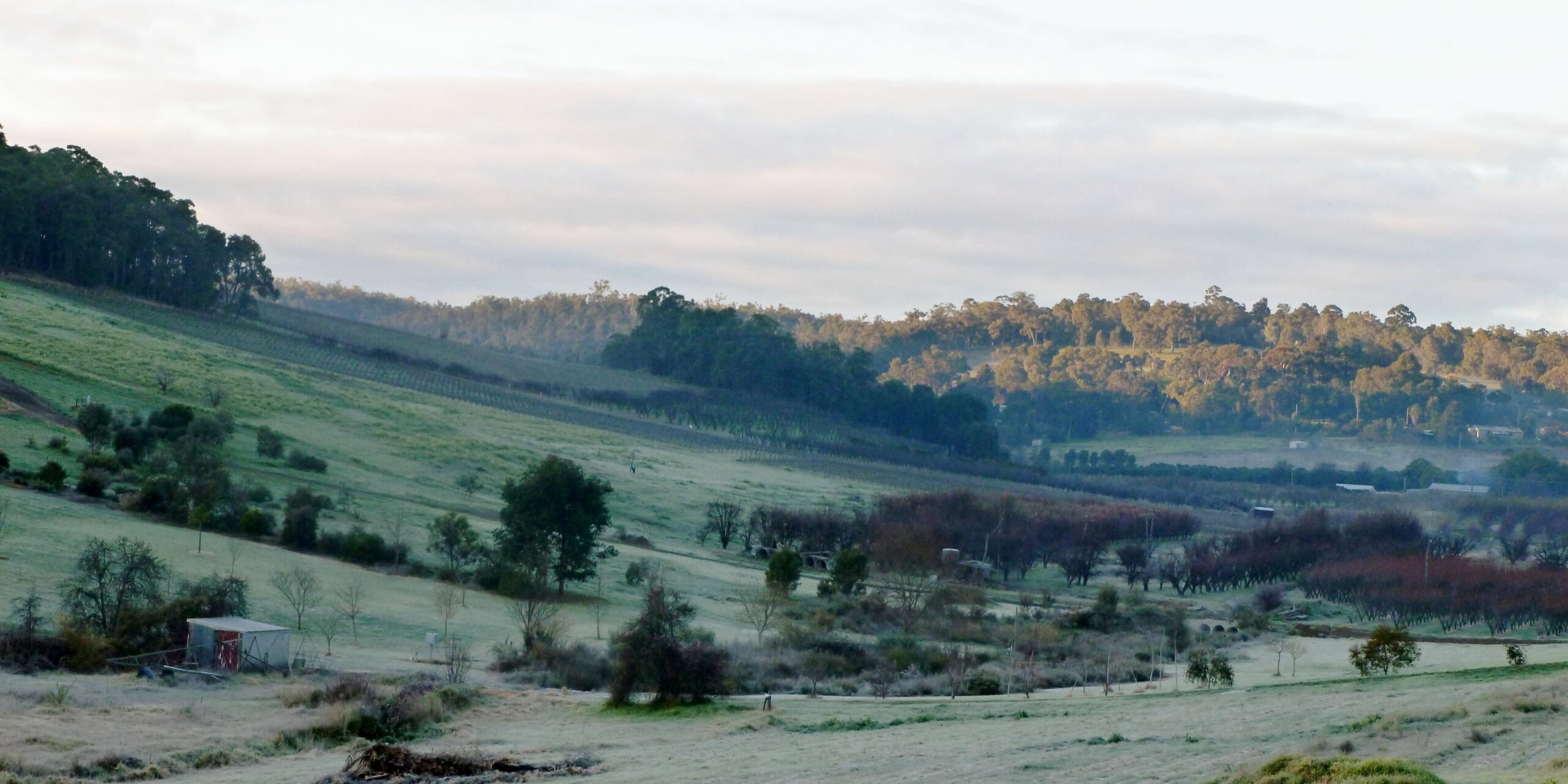 Bickley Valley Cottage