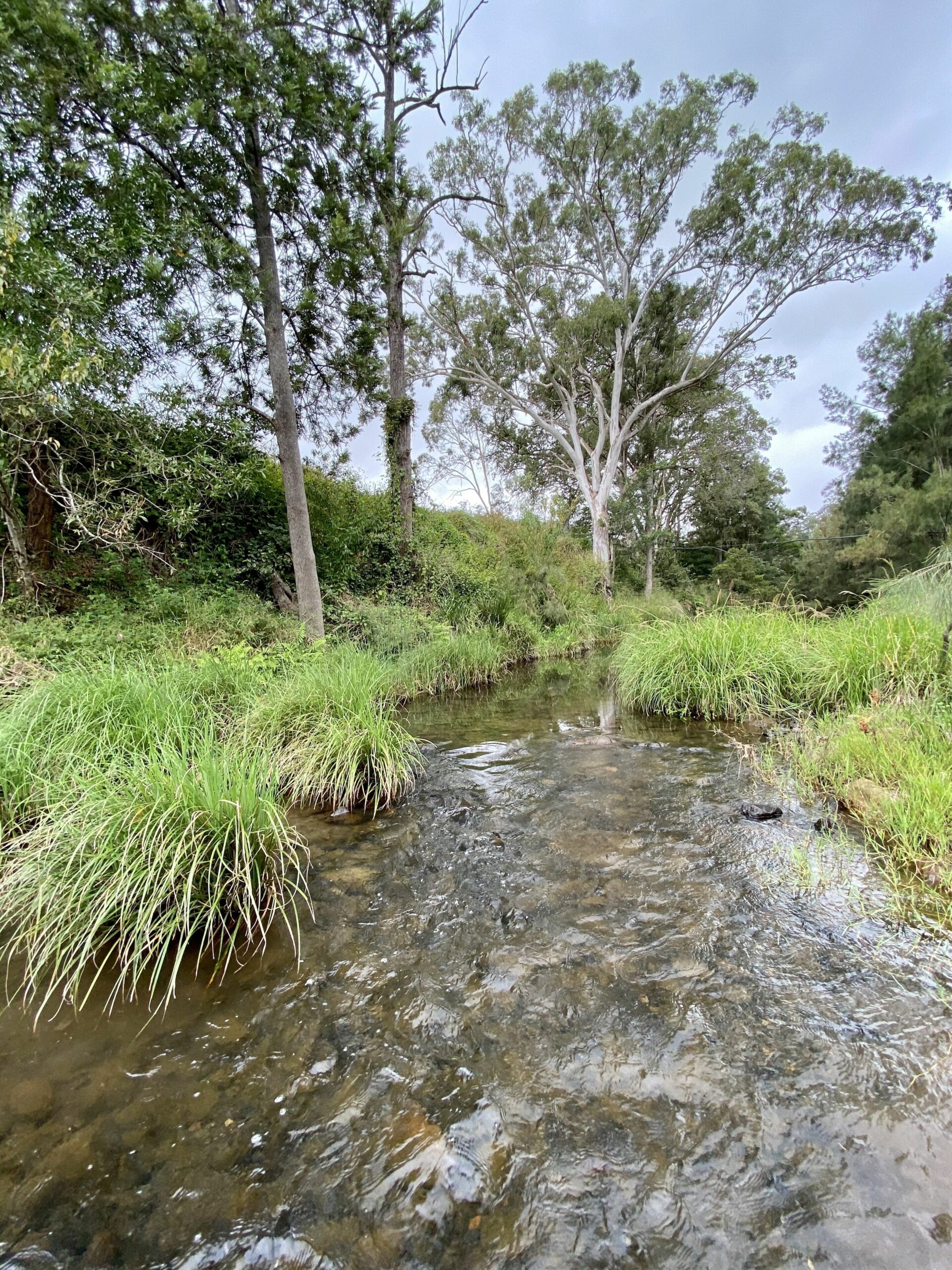 Eighteen Mile Homestead