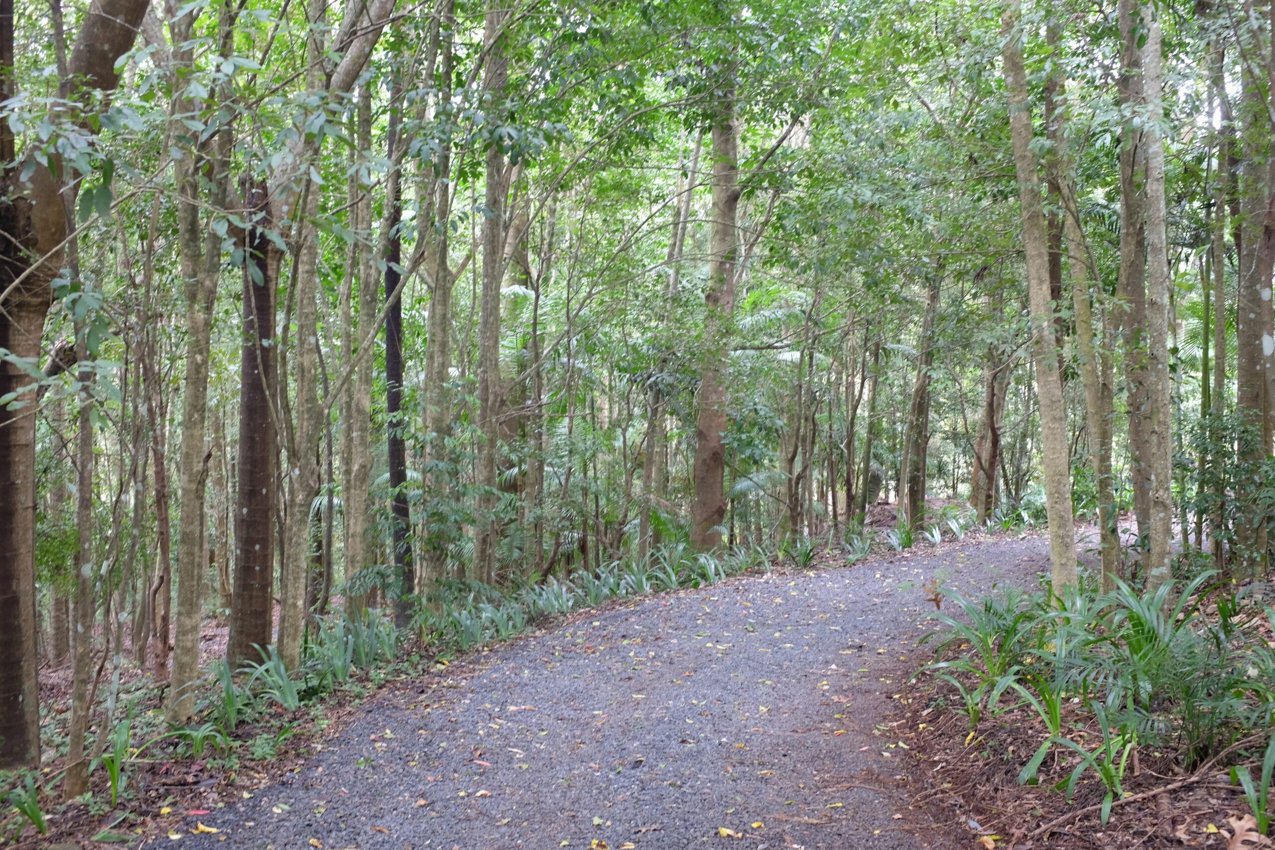 Tranquil Rainforest Escape, Close to Heritage Village of Bangalow