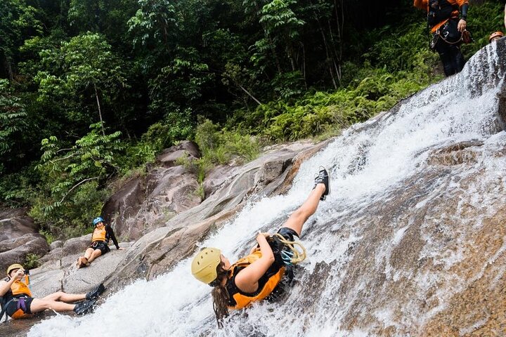 World Heritage Rainforest Canyoning Experience