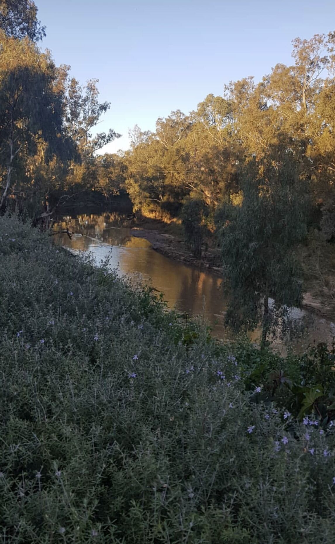 River Front Close to Dubbo