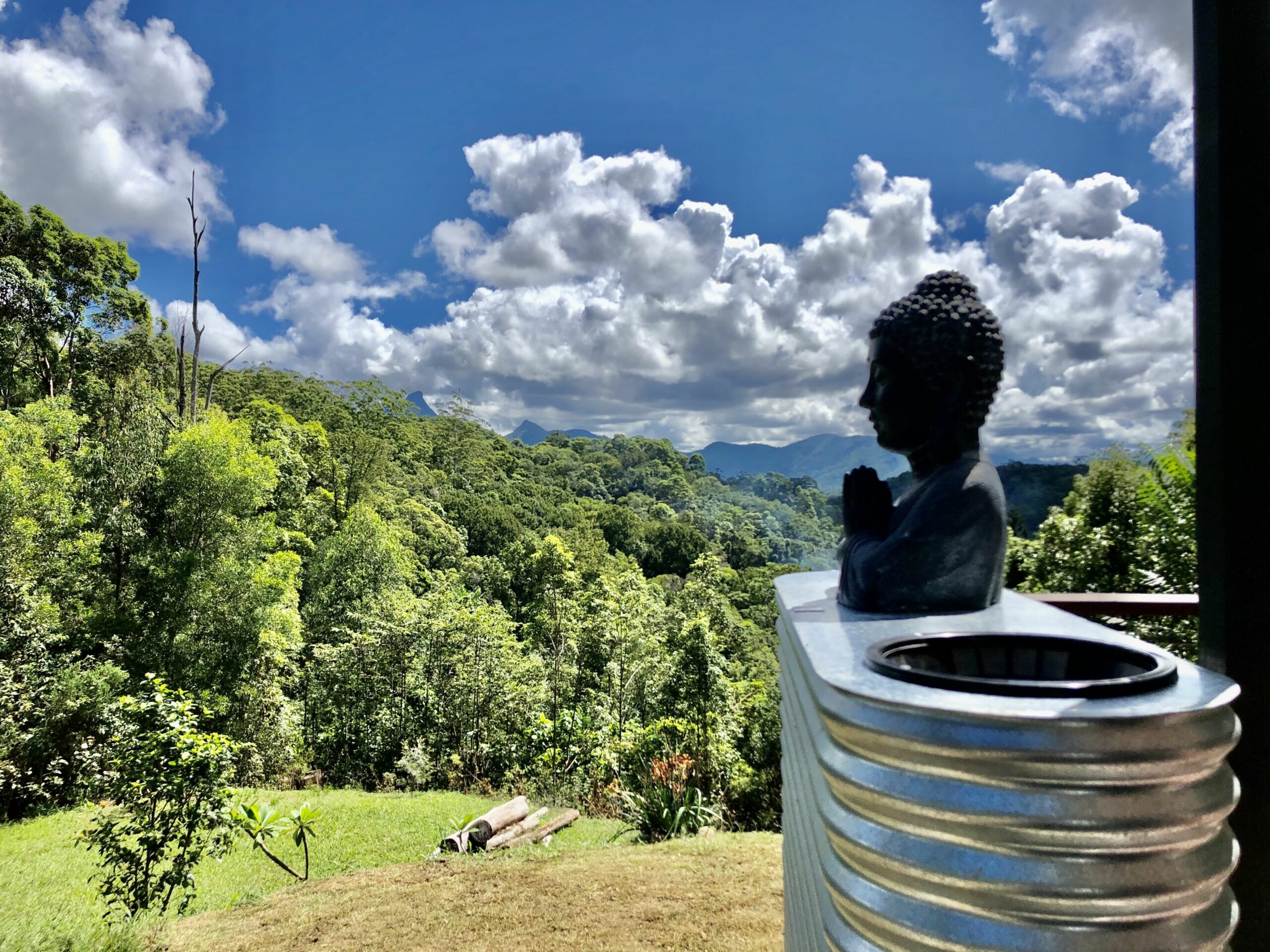 Secluded Treetop Cabin - Uki/Mt Warning