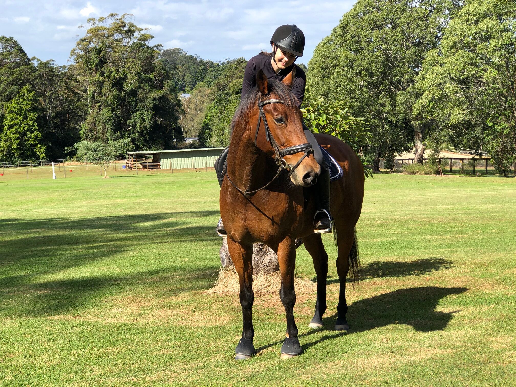 Cassowary Luxury Cottage - Mount Tamborine