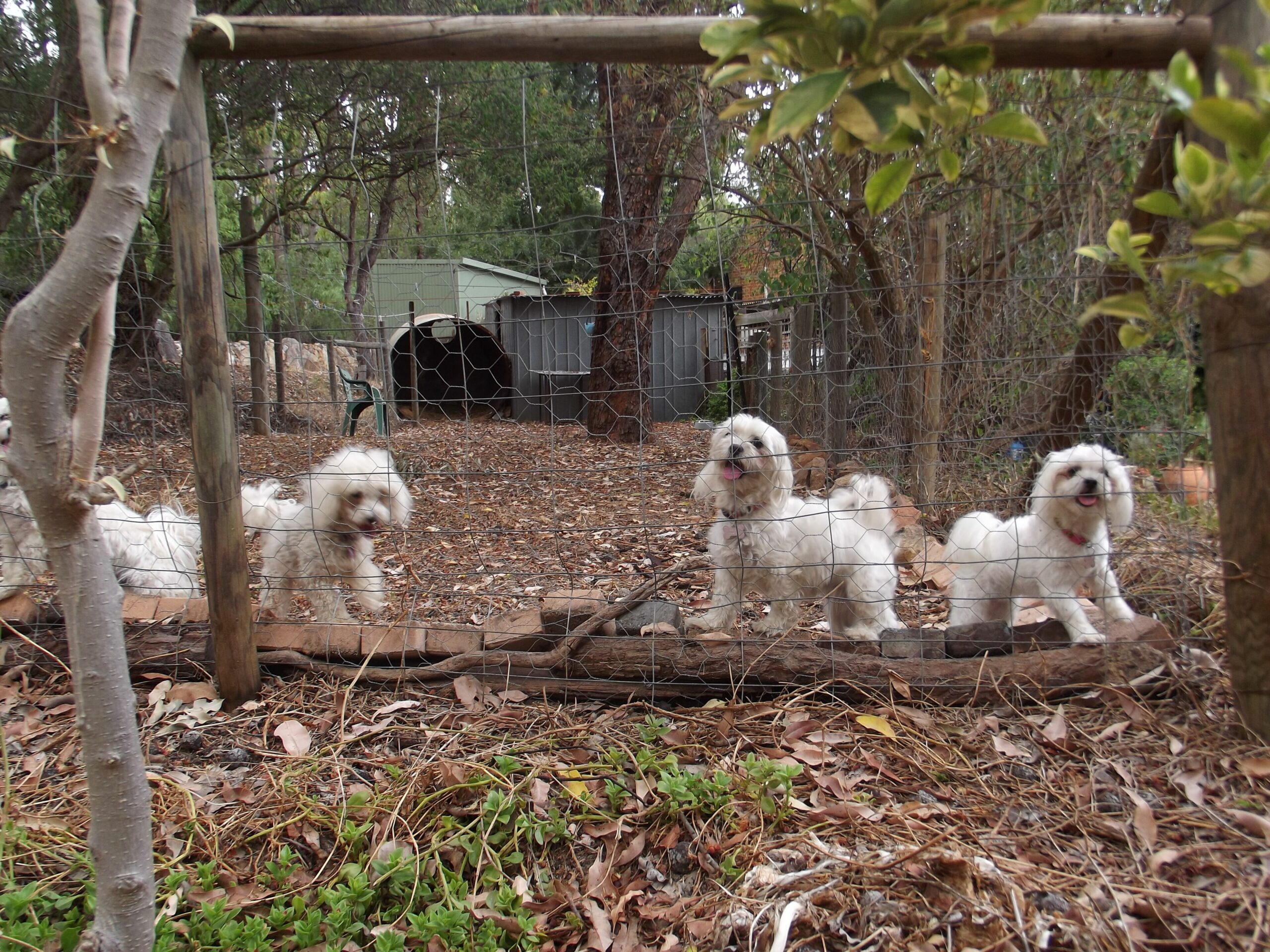 Escape in This dog Friendly Self-contained Luxurious 2 Storey Cottage