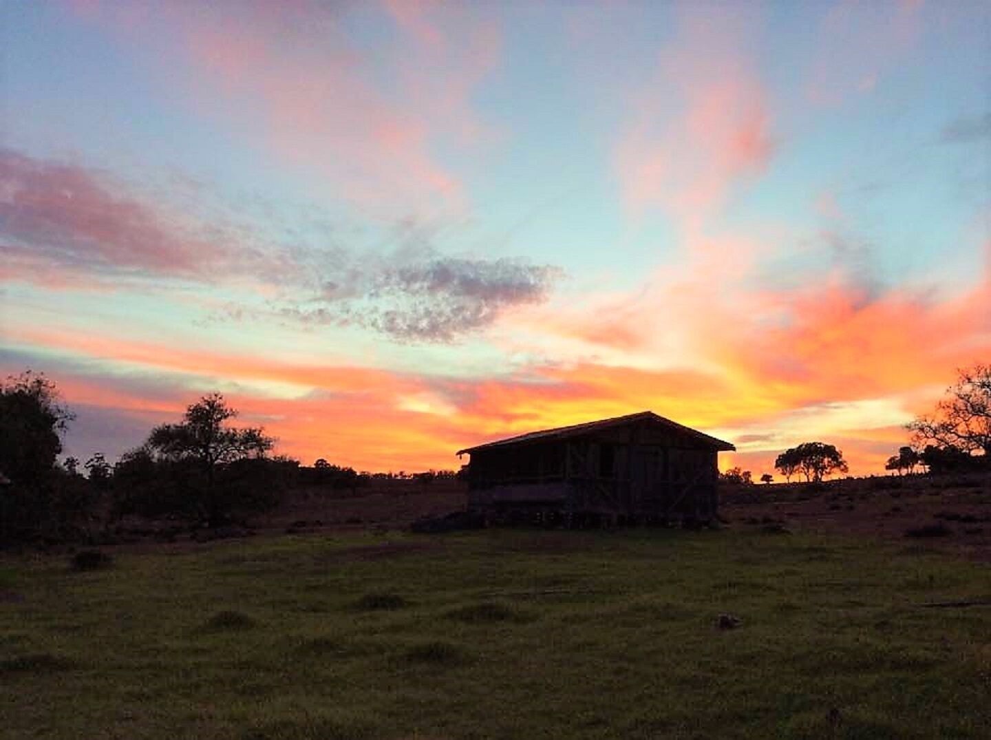 Escape to the Country - Enjoy the Firepit or Explore Magical Bunya Mountains