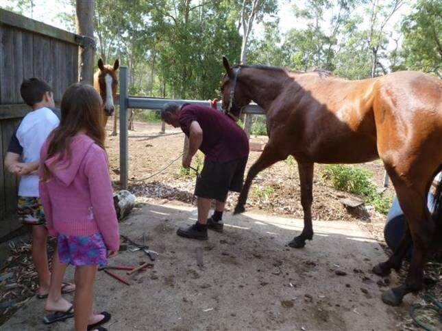 Magpie Creek Thoroughbred Farmstay Family Unit