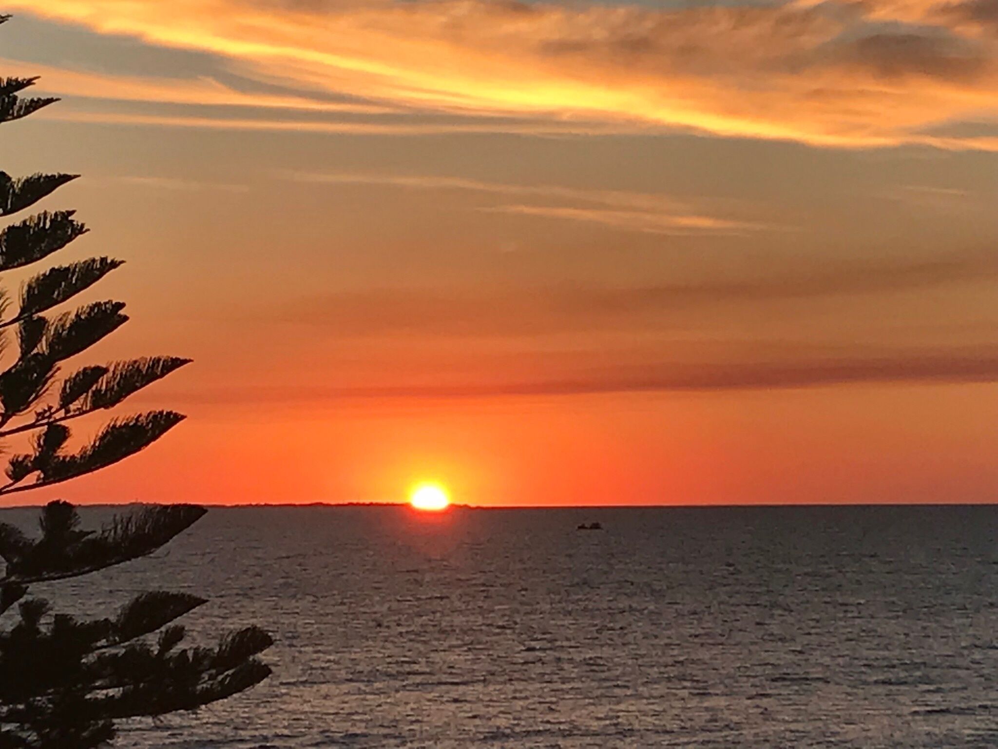 Cottesloe Beachfront Luxury Ocean View Apartment Ideal for Couple and Children