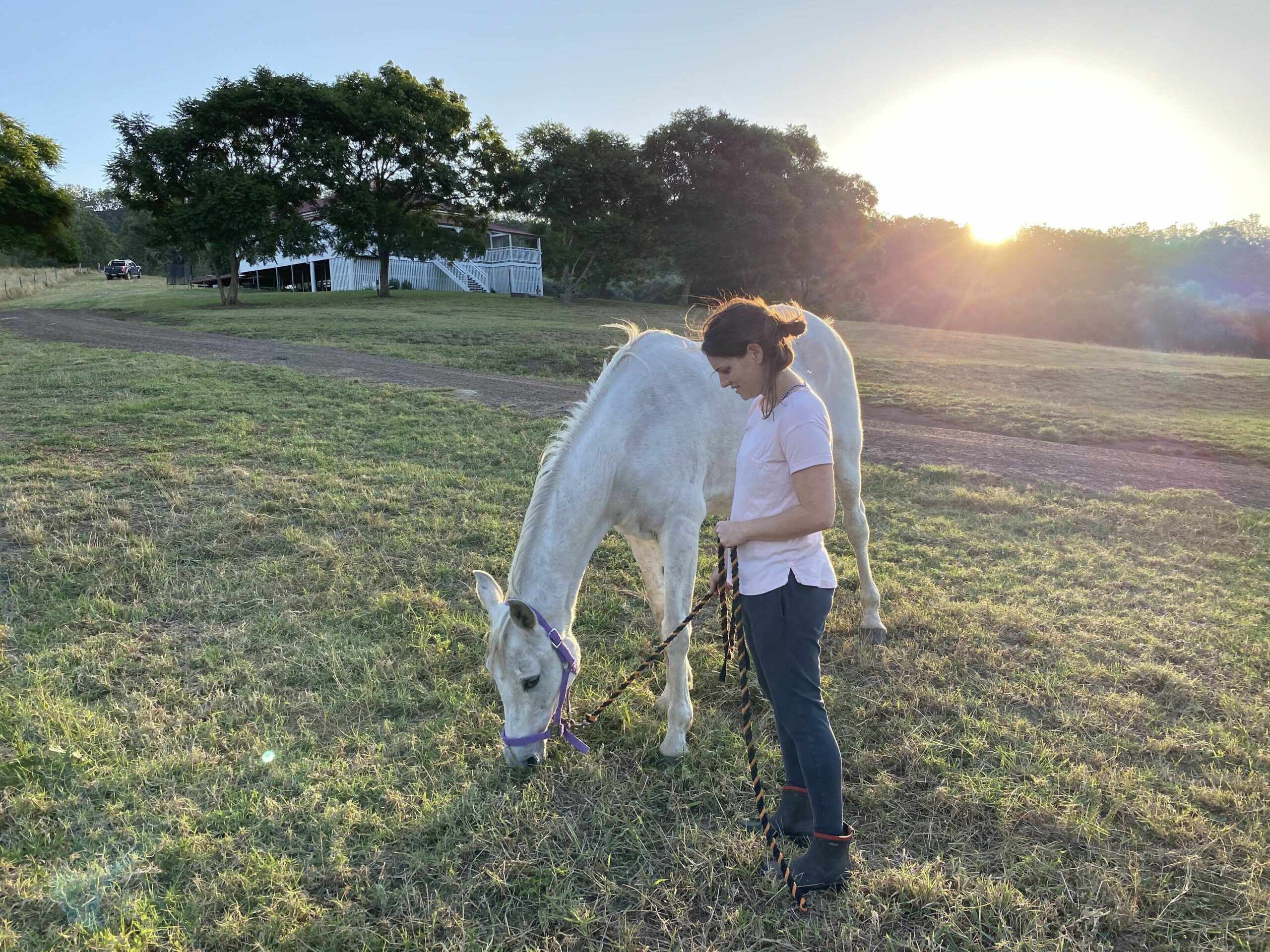 Darlington Grove Farm Stay in a Renovated Dairy Lots of Animals and River Access