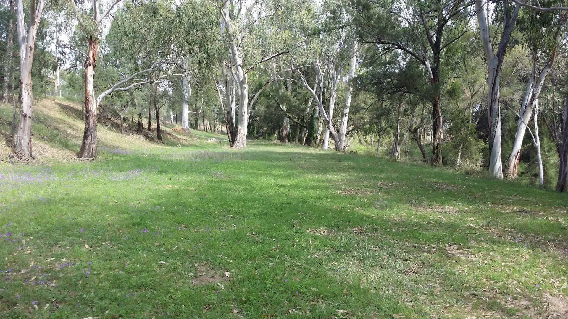 Coolmunda Springs - We had rain!