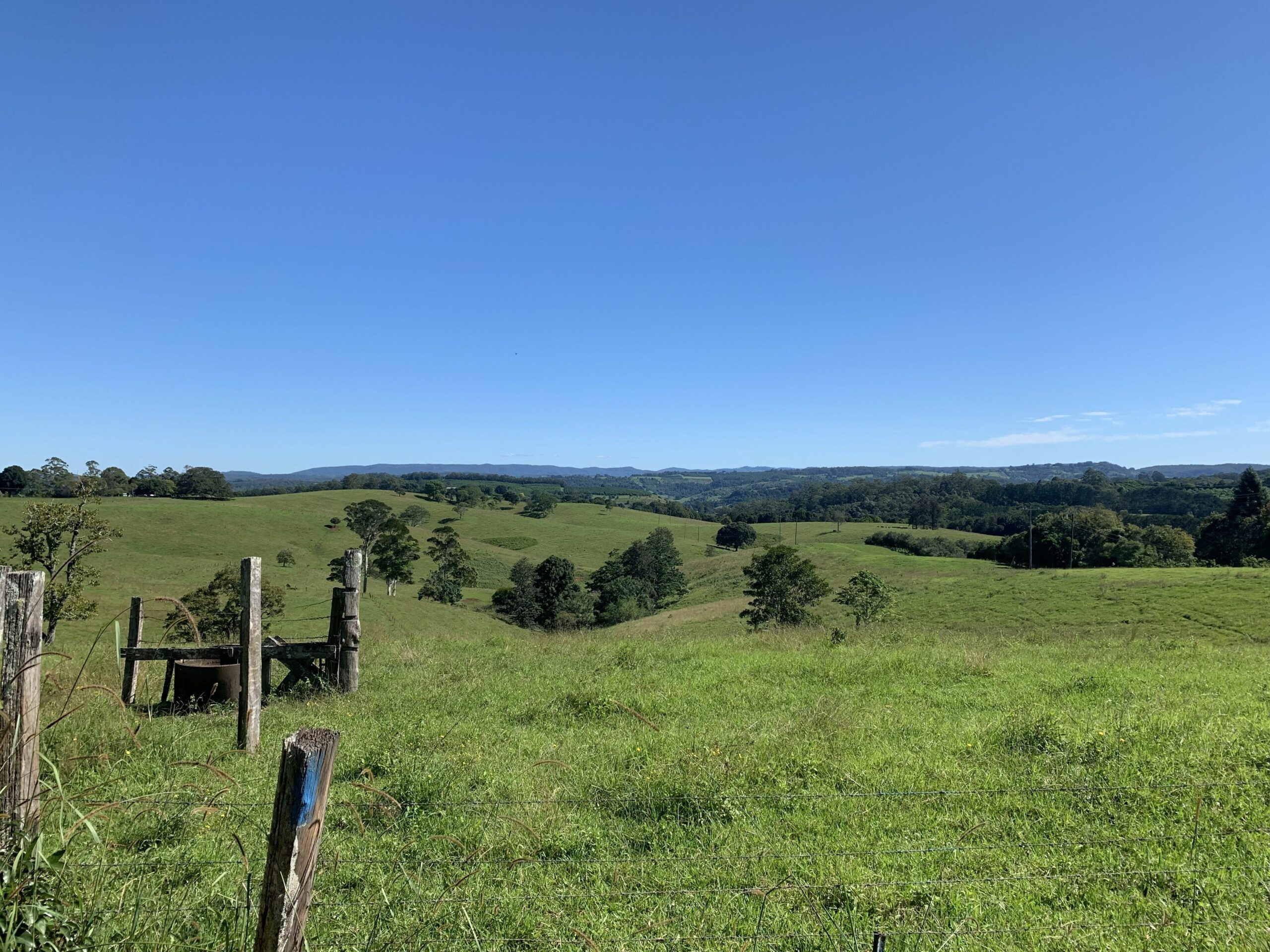 Nightcap Park, Beautiful Byron Bay Hinterland