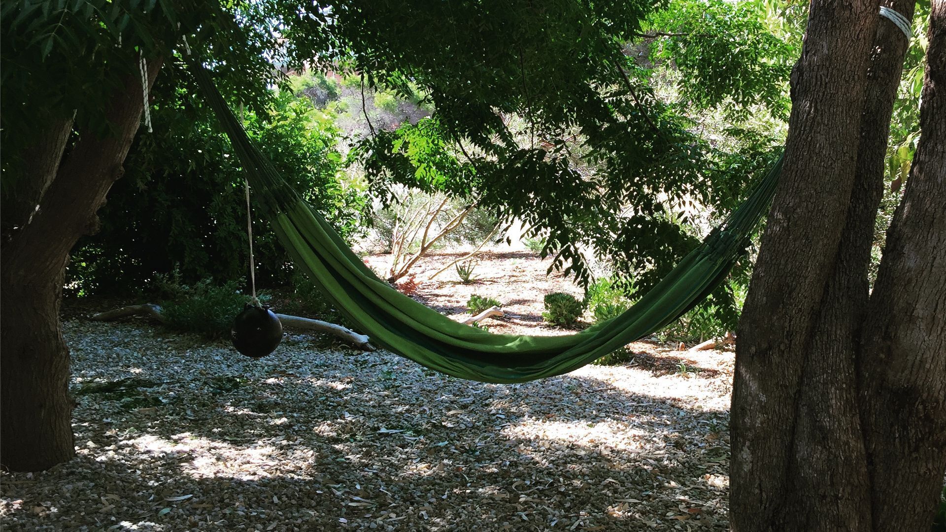 The Treehouse ~ Sanitised - YES !!!- Bed Linen & Kayaks Incl - Pets Welcome!