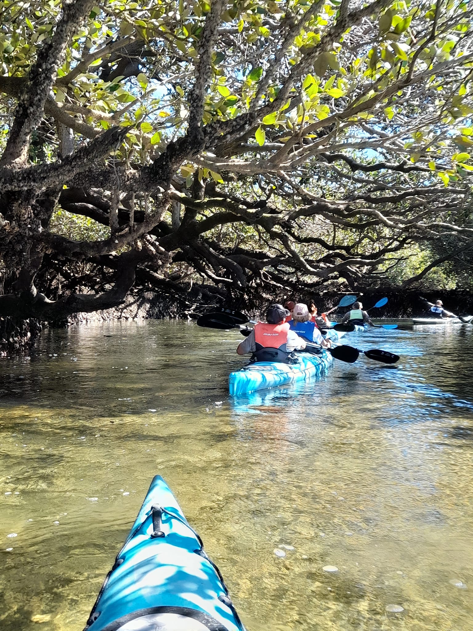 Dolphin Sanctuary Guided Eco Kayak Tour
