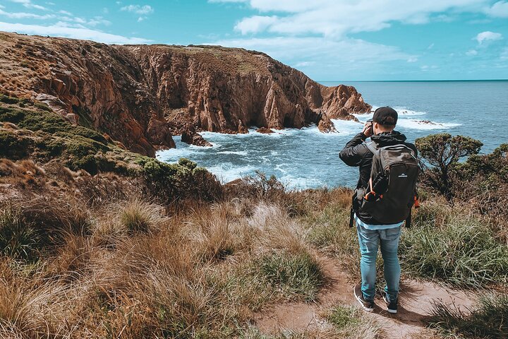 Private Phillip Island & Penguin Parade Hiking Tour from Melbourne