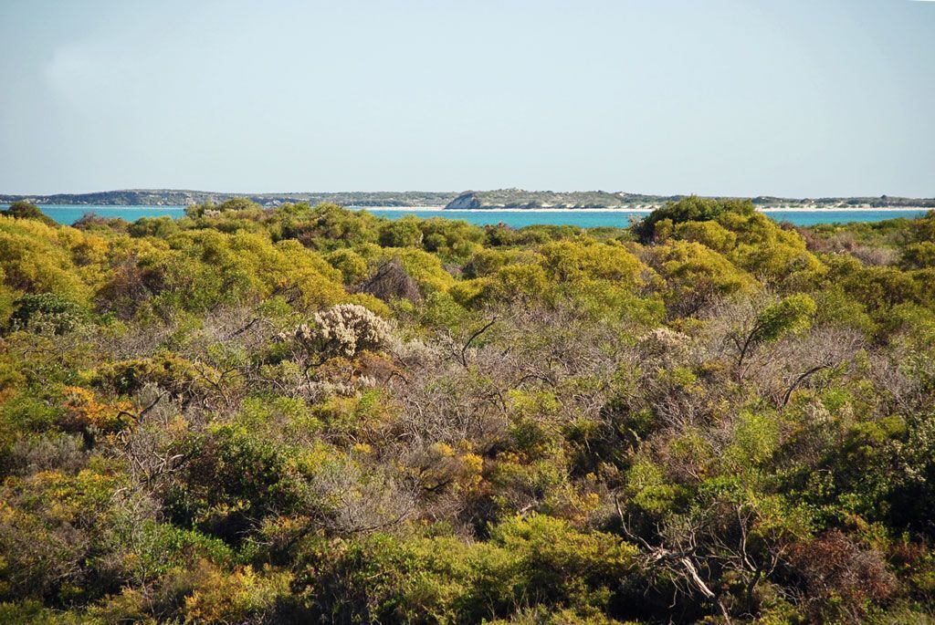 Jbay Escape – Ocean Views, Wifi, Netflix