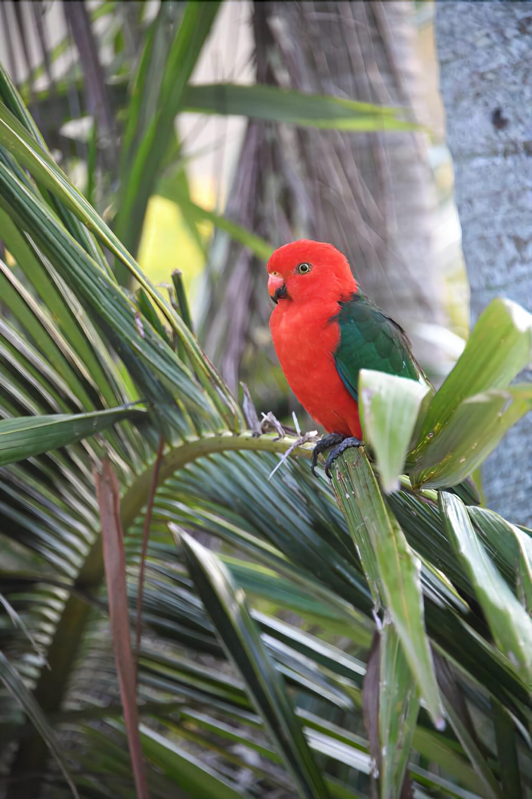 A House With a View and a Seabreeze - a Home in the Trees Where the Birds Sing!