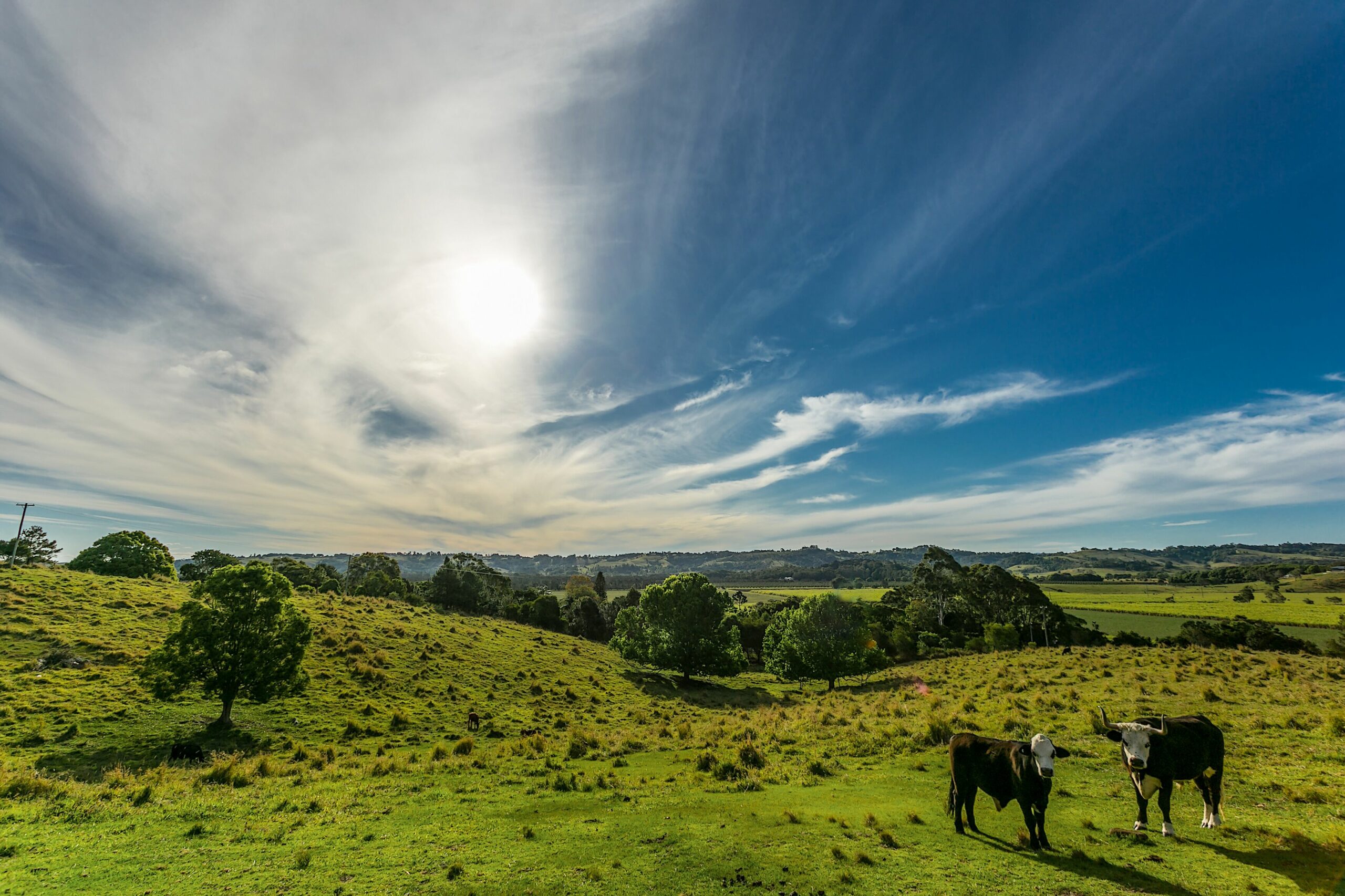 Luxury Hinterland Retreat close to Byron Bay, Suffolk Park and Lennox Head