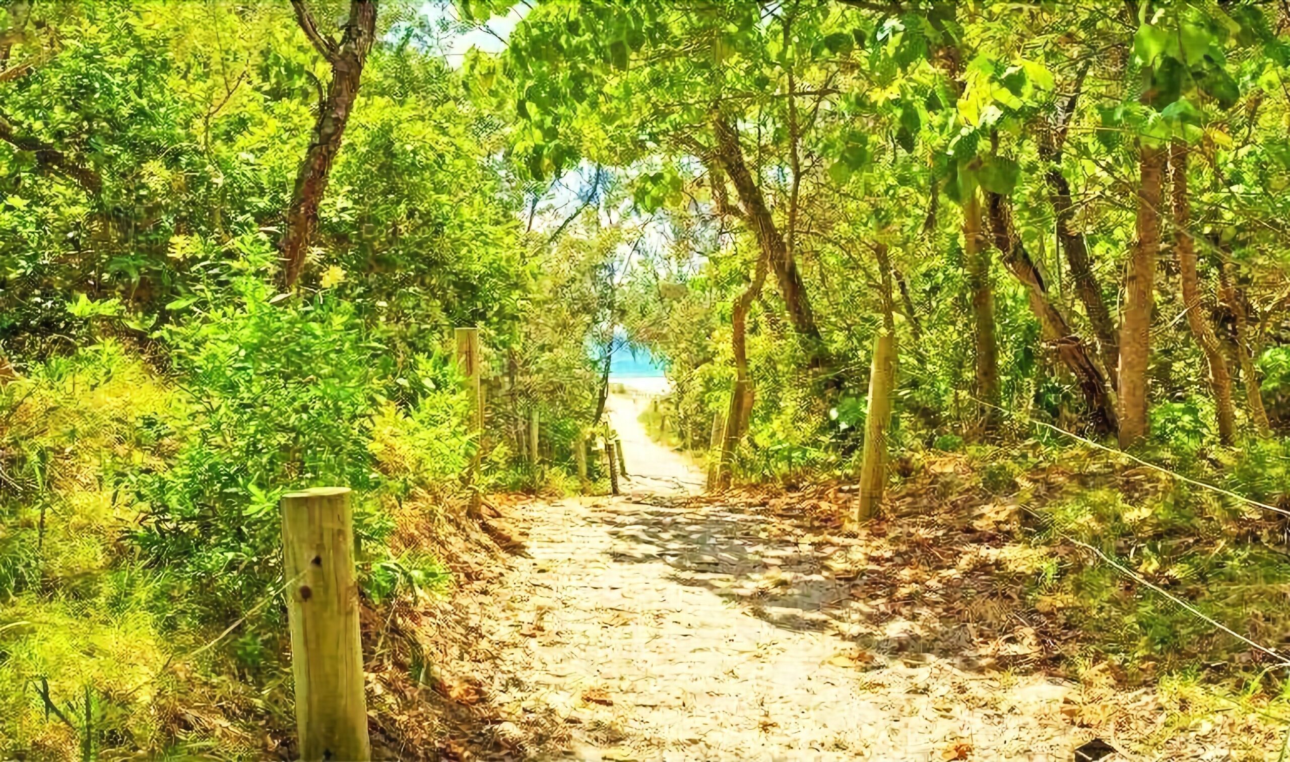 Casuarina Cabana