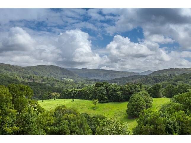 Valleydale Cottage - Byron Hinterland Escape