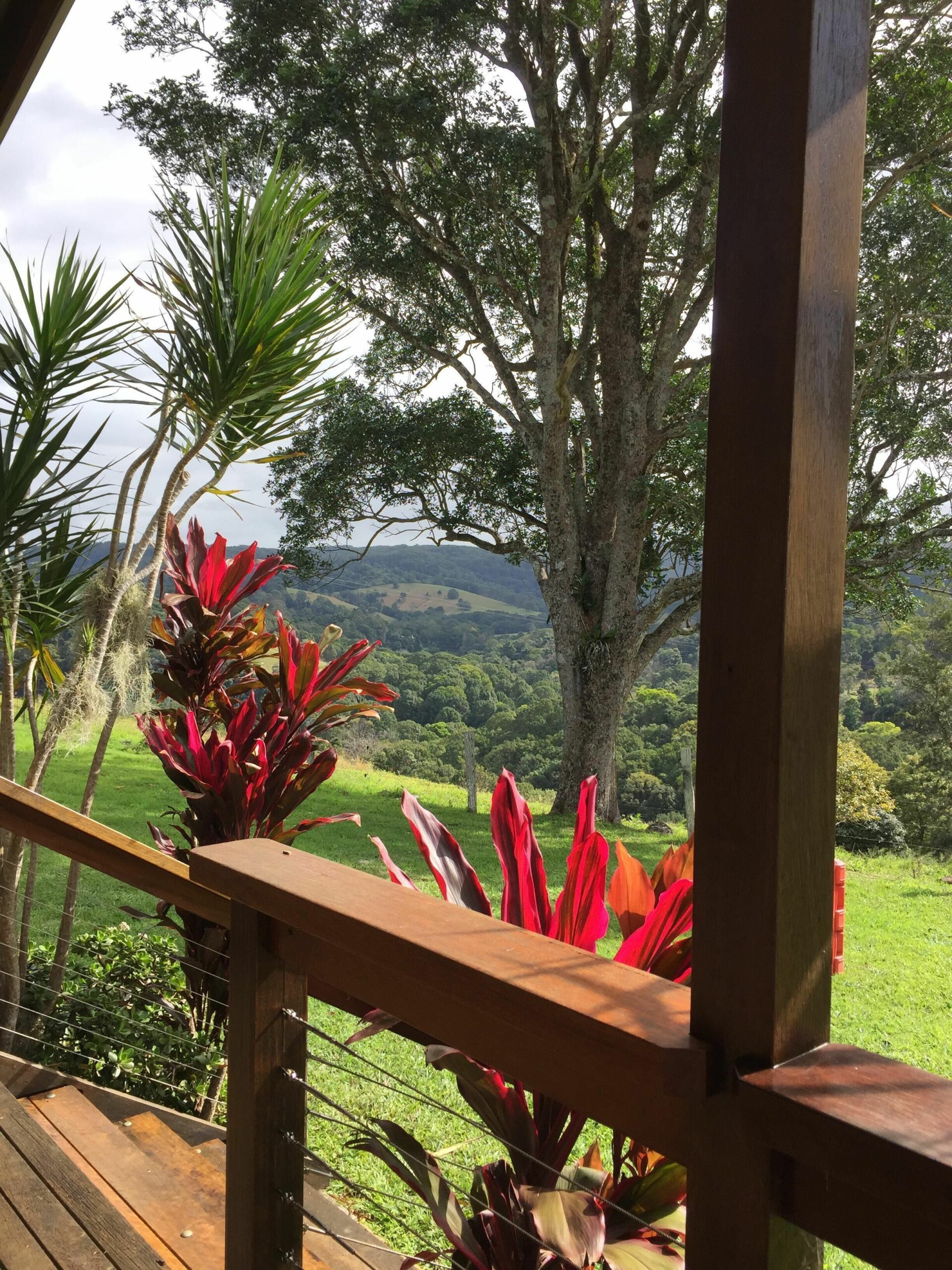 Byron Hinterland Farm Cottage on Cattle property