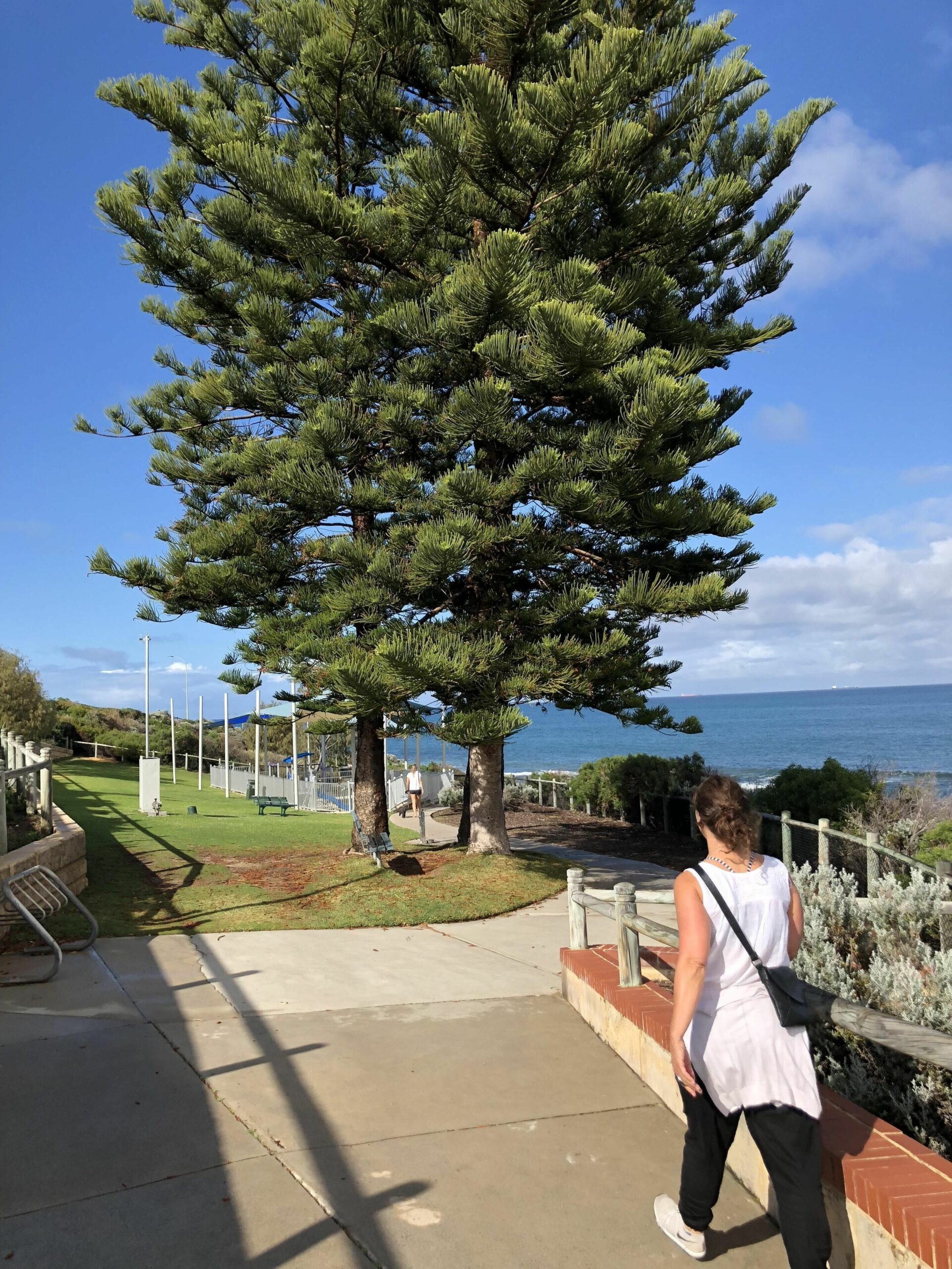 Seahorse Beach House Ocean Views Walk To Beach Free Wifi