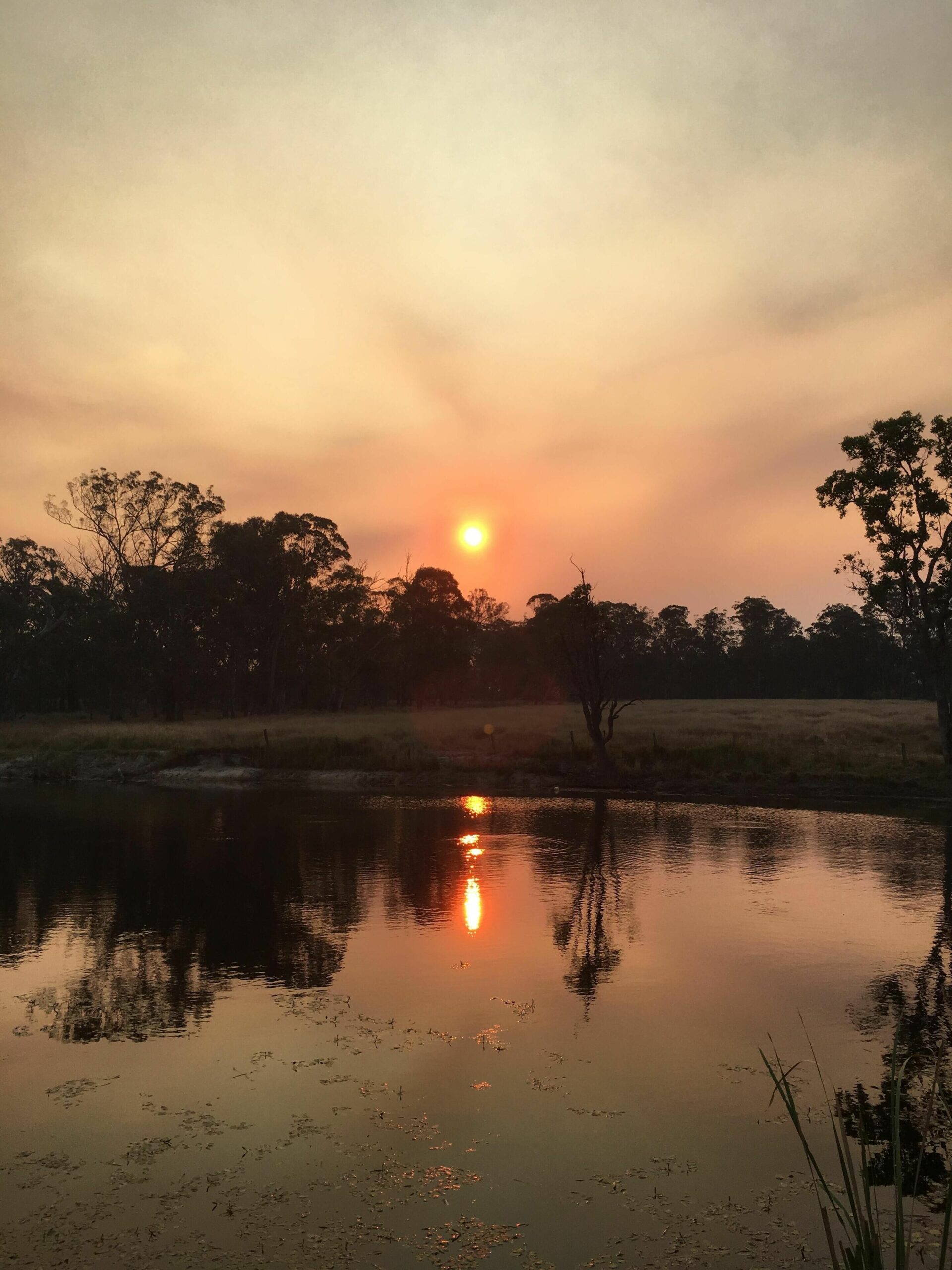 Serenity on Stanthorpe