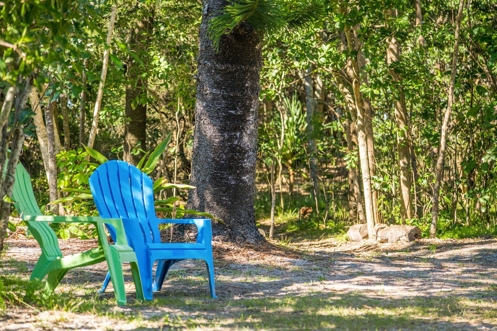 A Sweet Escape - Beachcombers Cottage Beachfront