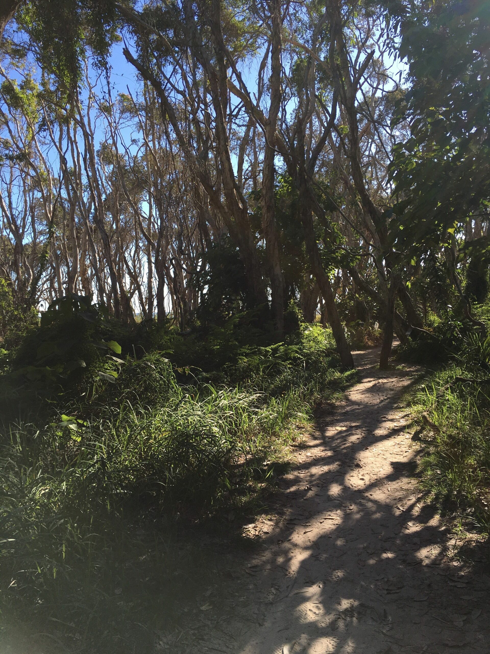 Home Beach Villa -  North Stradbroke Island