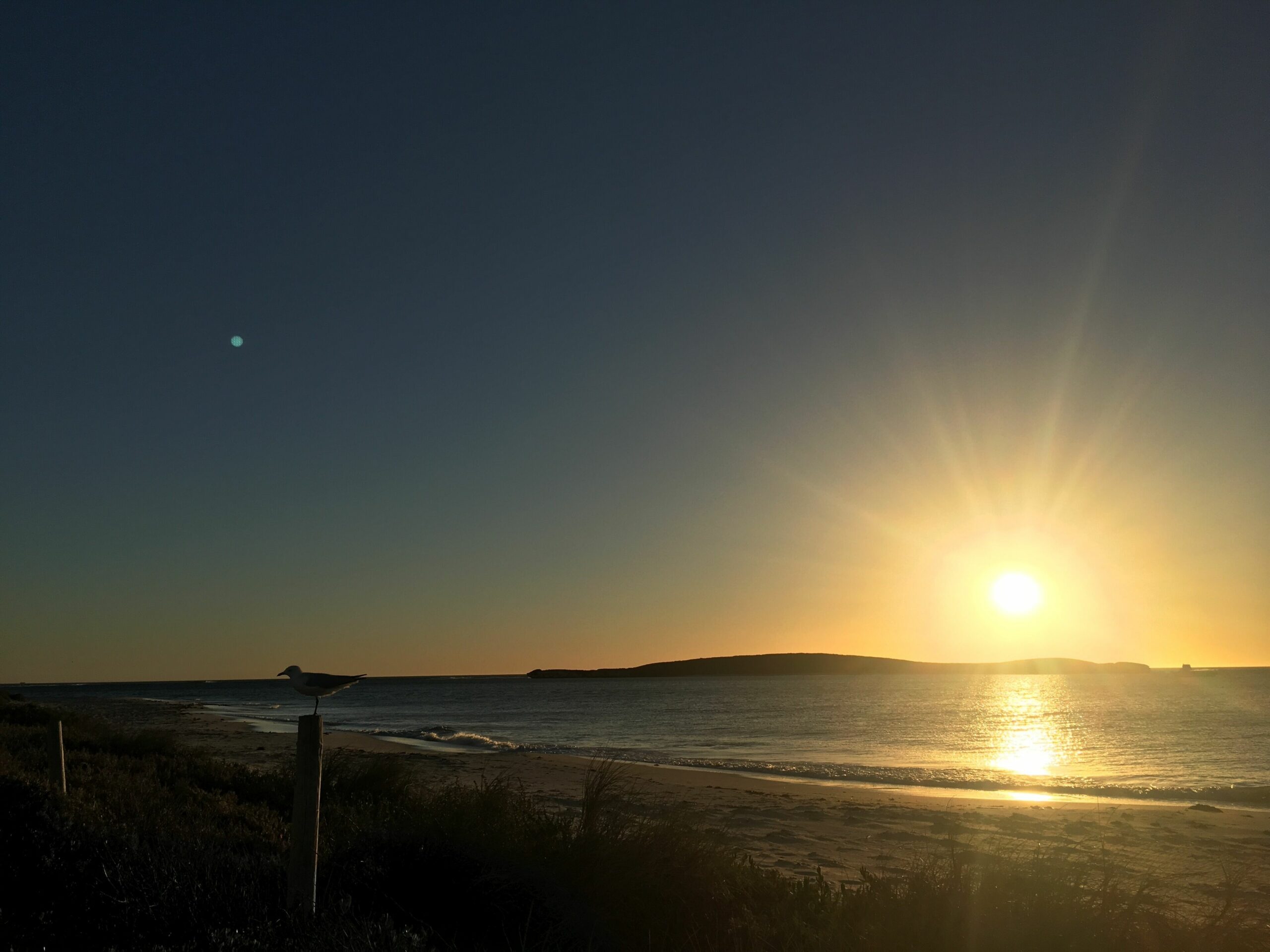 SurfSkool - Lancelin Holiday Beach House