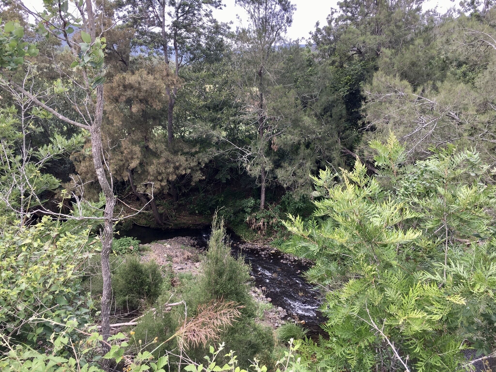 Eighteen Mile Cottage - river access with breathtaking views!