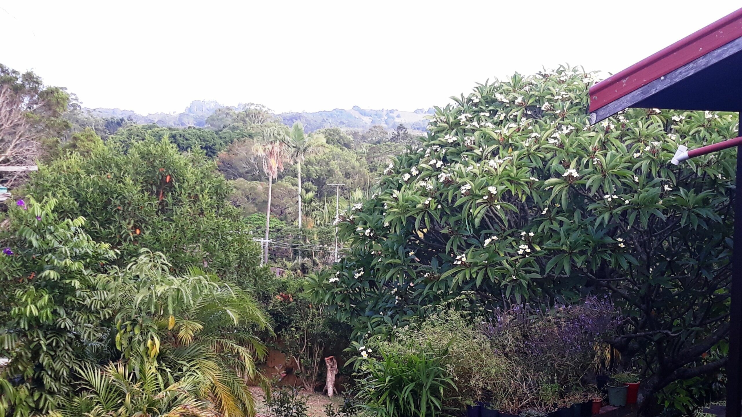 Beautiful secluded home in Mullumbimby