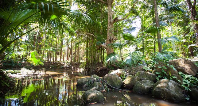 Stunning Balinese Inspired Cottage With Pool & Spa in The Byron Bay Hinterland