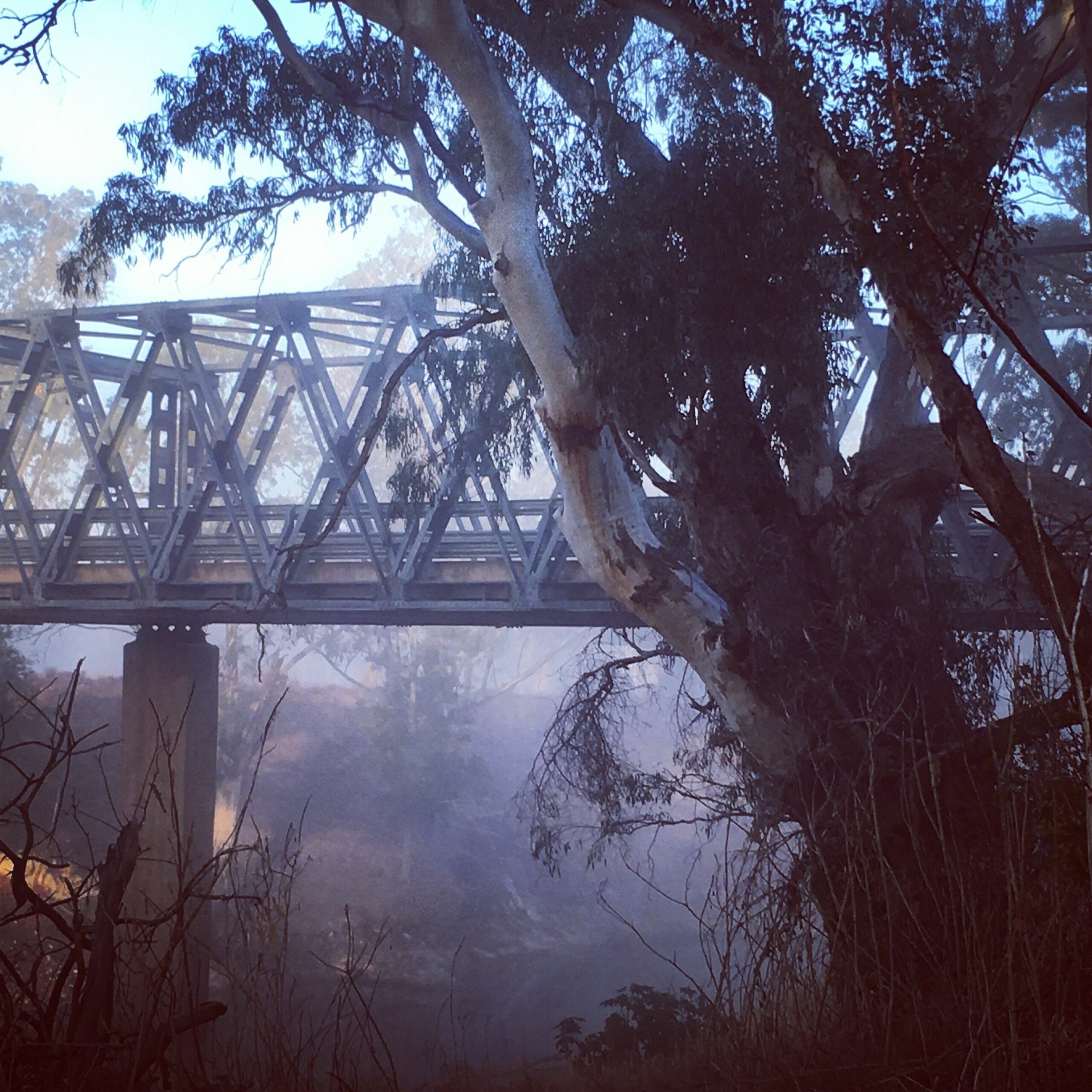 River Front Close to Dubbo