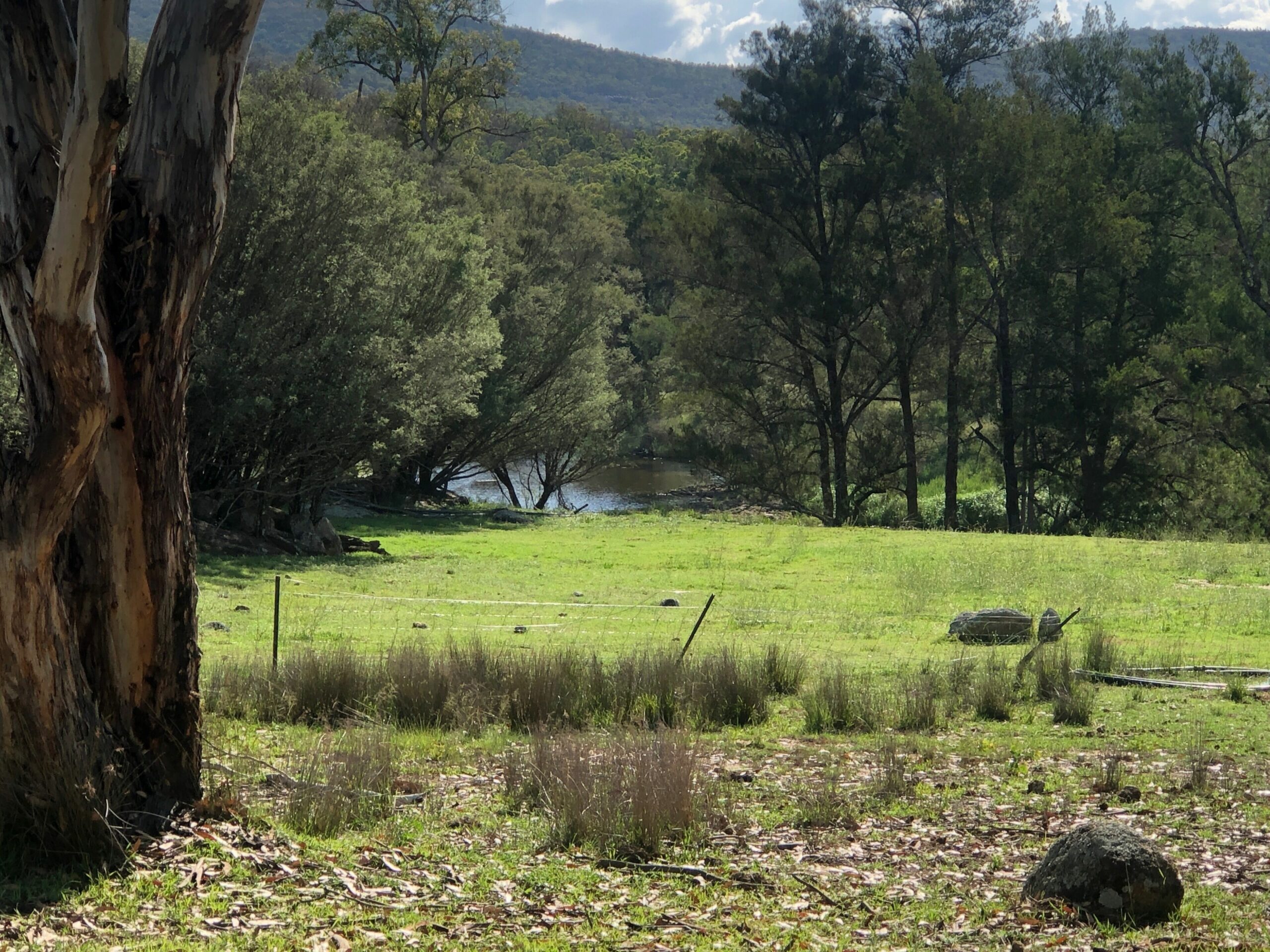 Charming Lochiel Cottage Farmstay