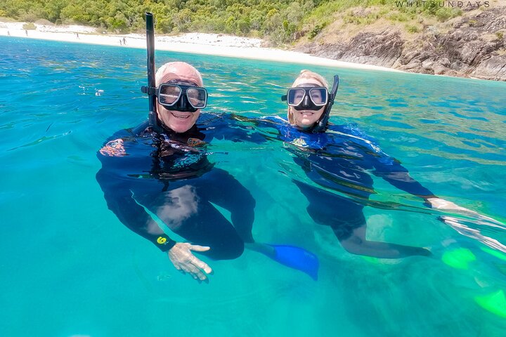 Cairns Aquarium Marine Life Encounter Ticket with 2-Course Lunch