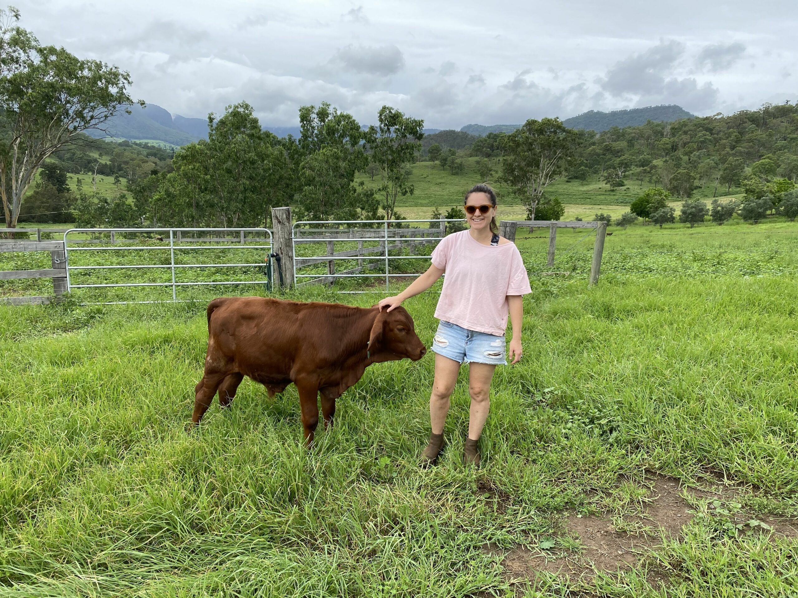 Darlington Grove Farm Stay in a Renovated Dairy Lots of Animals and River Access