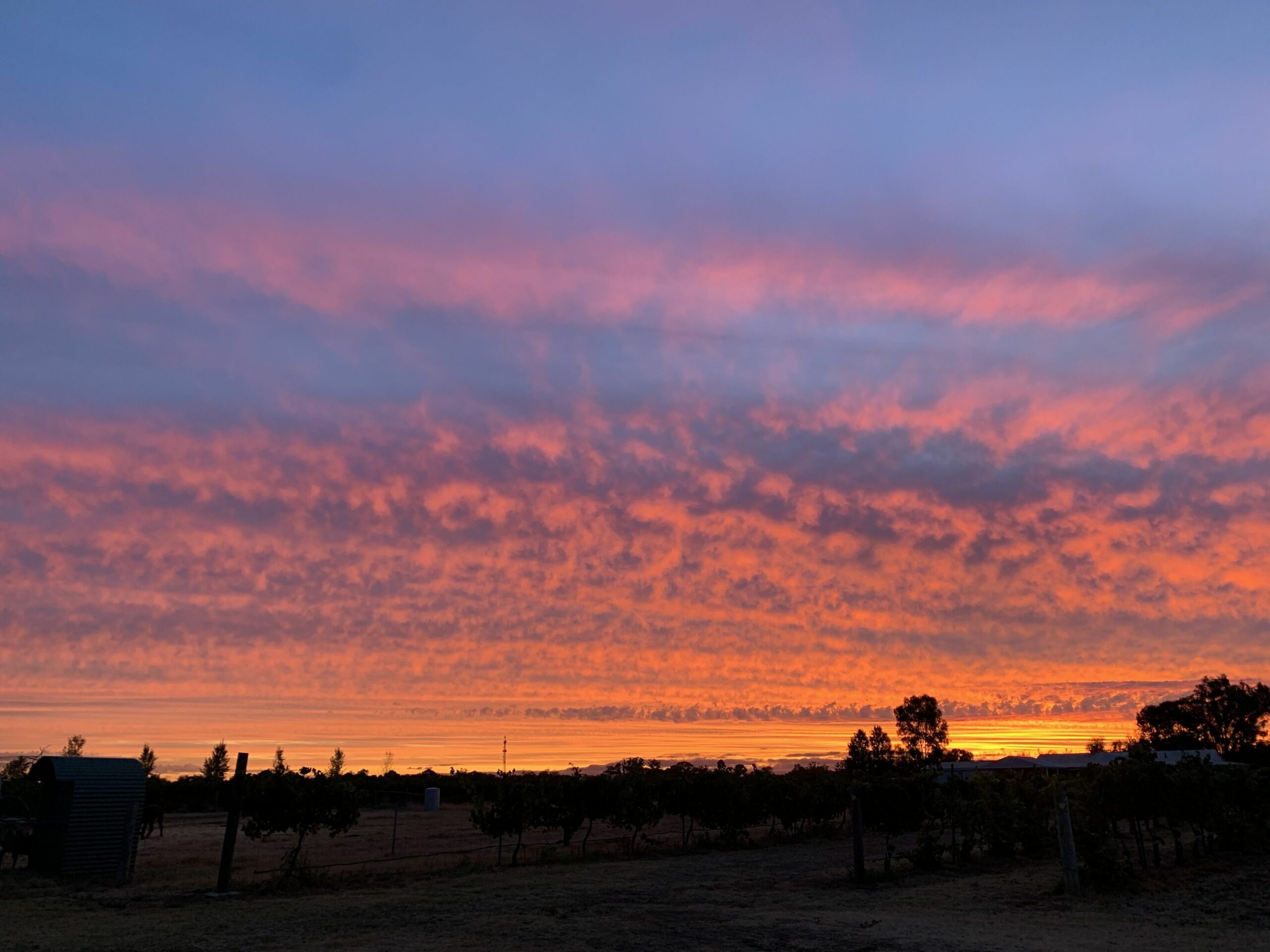 Poplars Farmstay - Swan Valley