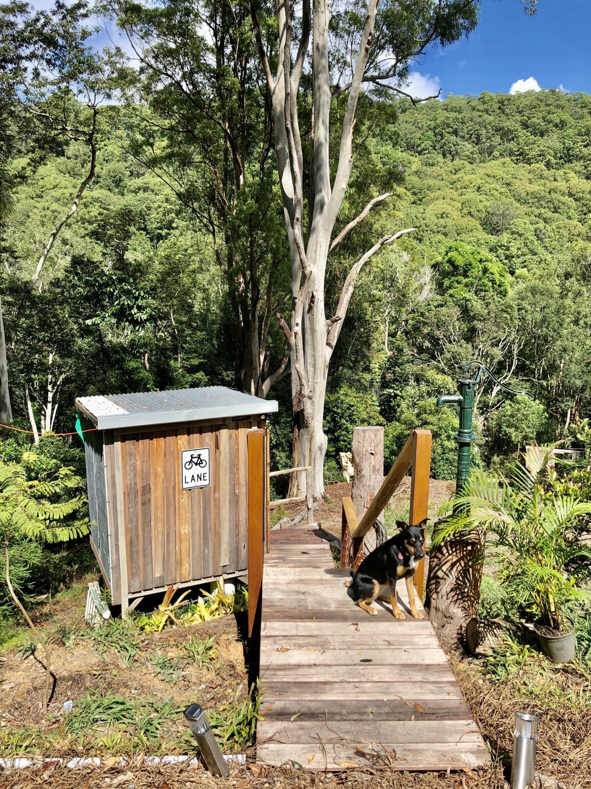 Secluded Treetop Cabin - Uki/Mt Warning