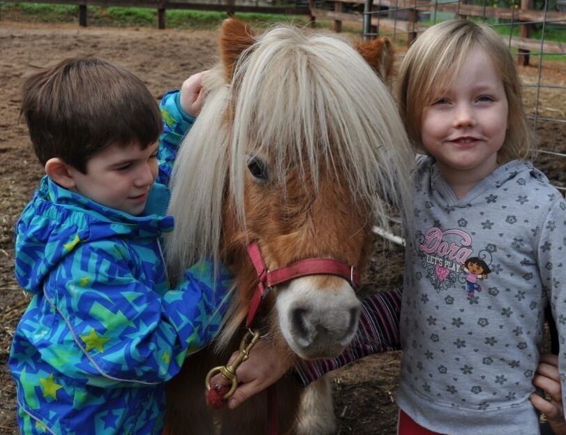 GUMLEAF COTTAGE FARMSTAY - Free daily Animal feeding - close to Perth!