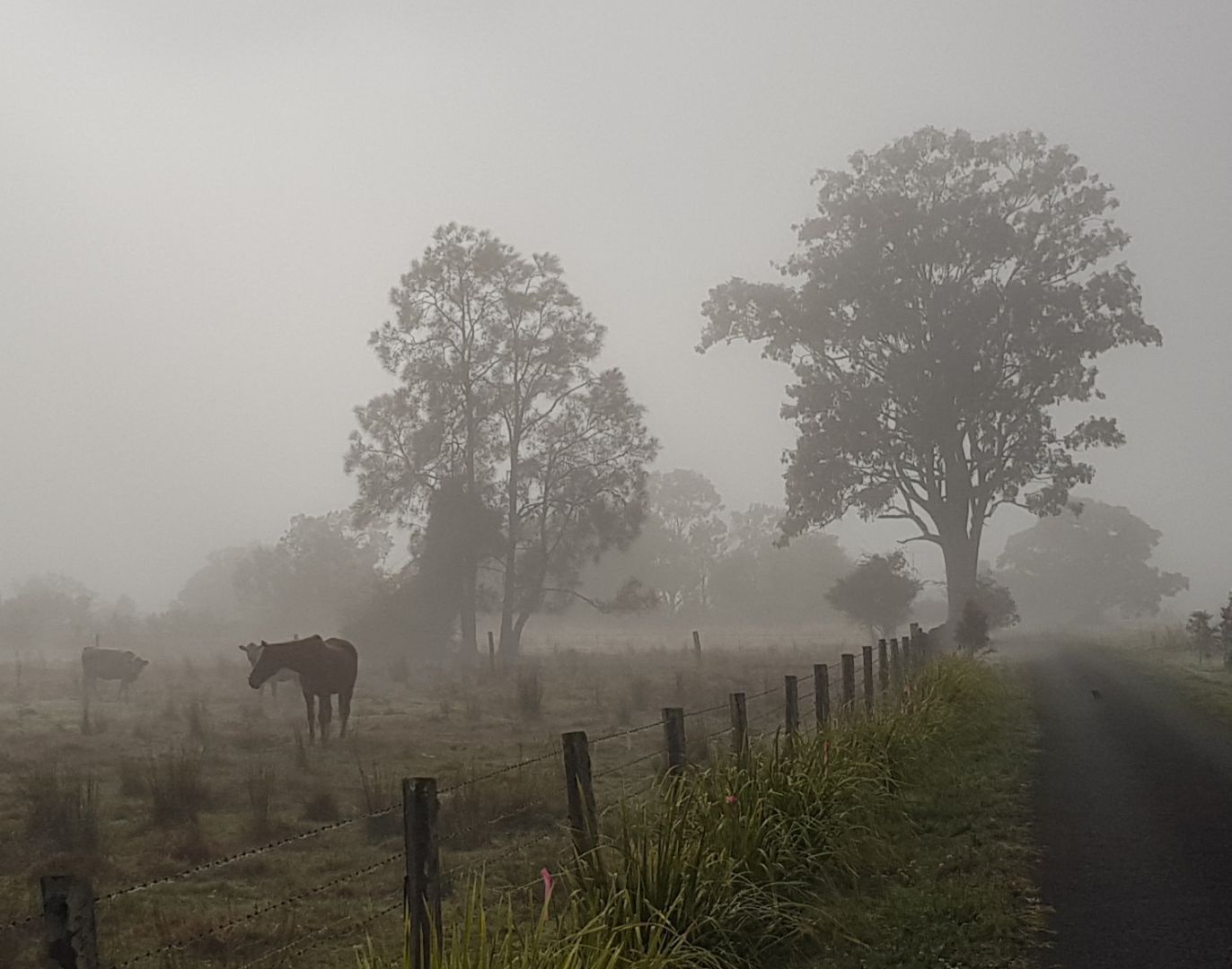 Private riverside retreat on Lismore outskirts