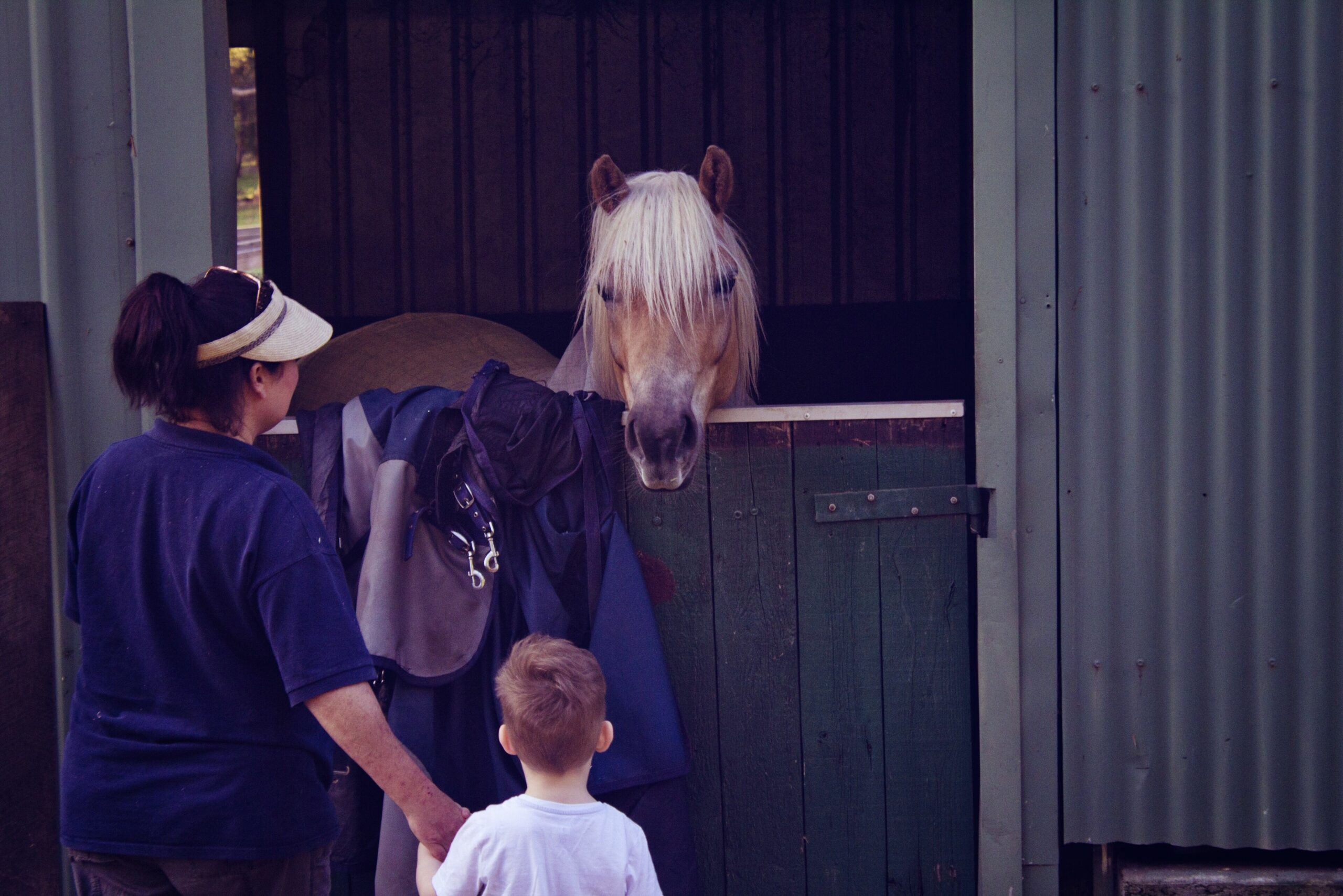 GUMLEAF COTTAGE FARMSTAY - Free daily Animal feeding - close to Perth!